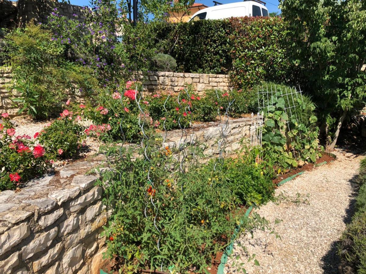Casa Stefanie Villa Kaštelir Kültér fotó